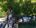 IMG_1025 copy